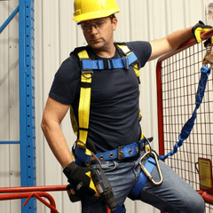 Bluelotus Enterprises