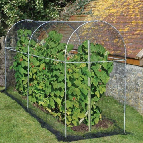 Bluelotus Enterprises