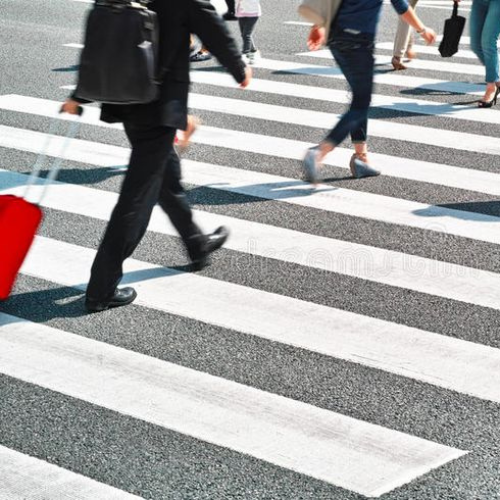 Bluelotus Enterprises